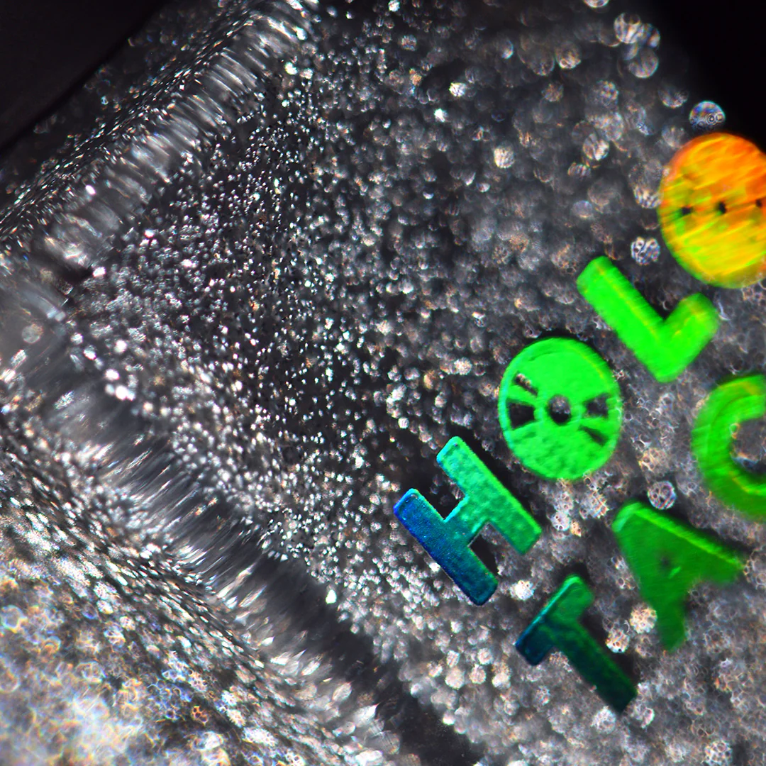 Thumbnail 11